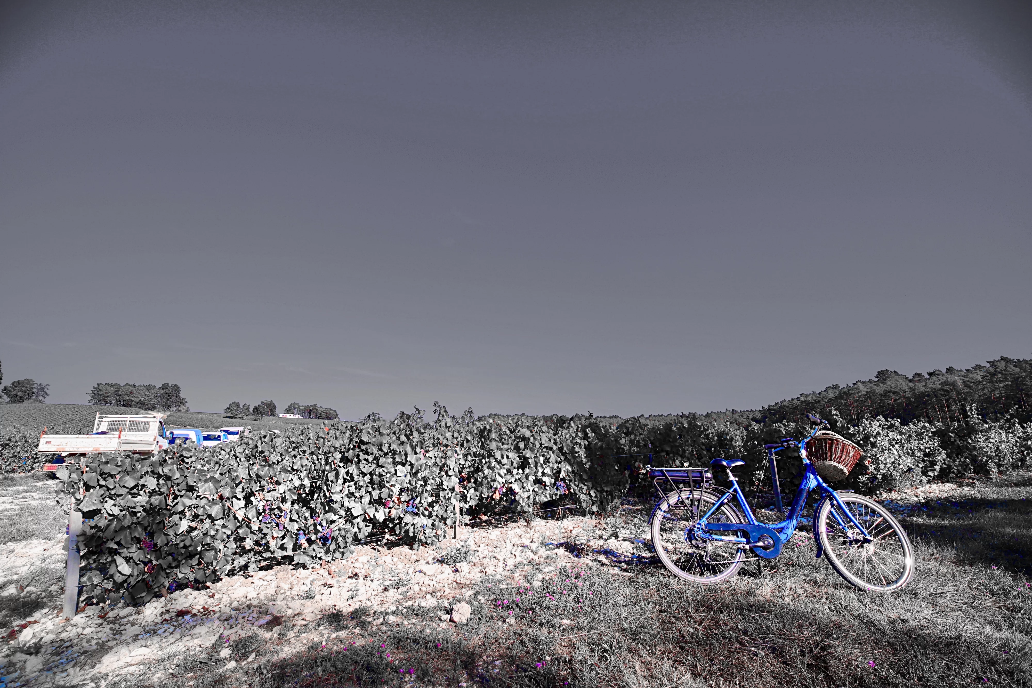 The blue bicyle