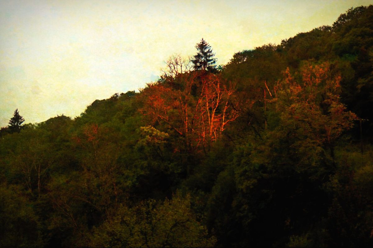 FEATURED PHOTOGRAPHS by FLICKR - On Explore